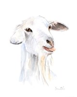 Goat I Fine Art Print