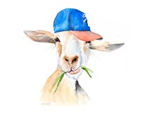 Cool Goat Fine Art Print