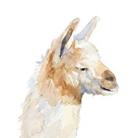 Sleepy Llama Fine Art Print