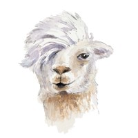 Comb Over Llama Fine Art Print