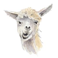 Talking Llama Fine Art Print