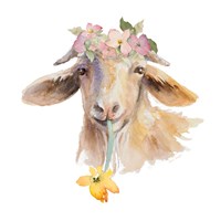 Flower Goat Fine Art Print
