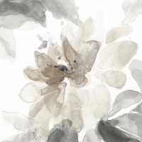 Soft May Blooms I Fine Art Print