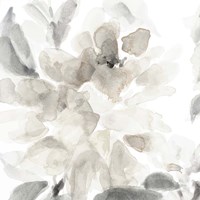 Soft May Blooms II Fine Art Print
