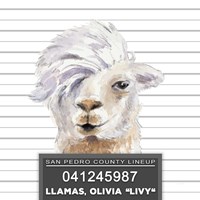Llamas Livy Fine Art Print