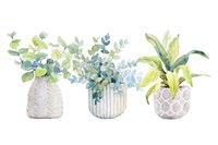 Decorative Plant Arrangement I Fine Art Print