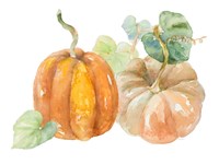 Pumpkin Harvest I Fine Art Print