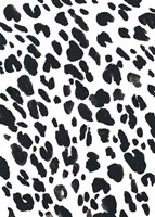 Cheetah Pattern II Fine Art Print