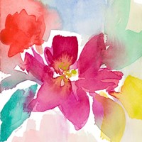 Summer Shades II Framed Print