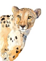 Standing Cheetah Fine Art Print