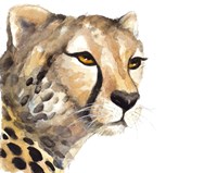 Cheetah Portrait Fine Art Print