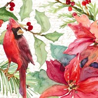 Poinsettia and Cardinal II Fine Art Print