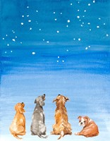 Four Dogs Star Gazing Fine Art Print