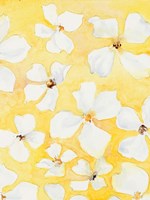 Summer is Here to Stay Fine Art Print