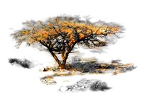 Trees Alive II Fine Art Print