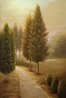 Auburn I Fine Art Print