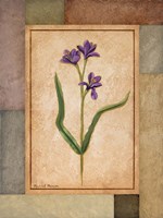 Changing Colors II Fine Art Print