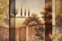 Summer Changes I Fine Art Print