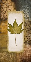 Single Leaf II Fine Art Print