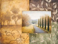 Into a Familiar Place Fine Art Print