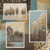 Lost in Trees II Framed Print