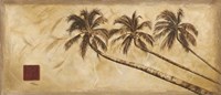 Sepia Palms Fine Art Print
