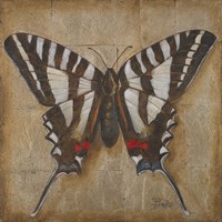 Butterfly I Framed Print