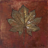 Maple I Fine Art Print