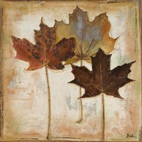 Natural Leaves III Framed Print