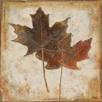 Natural Leaves IV Framed Print