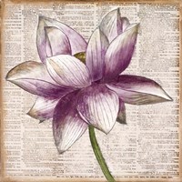 Defined Lotus I Fine Art Print