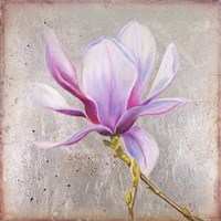 Magnolia on Silver Leaf II Fine Art Print