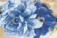Beautiful Peonies in Indigo Fine Art Print