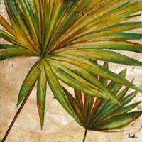 New Palmera Take Two II Framed Print