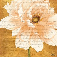 Beautiful Cream Peonies Script II Fine Art Print