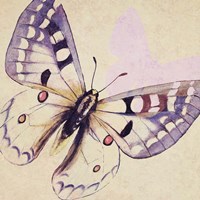 Lavender Butterfly on Cream Fine Art Print