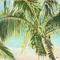 Bright Coconut Palm II Framed Print