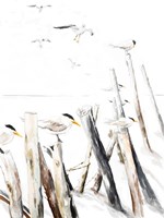 Gull Point Fine Art Print