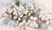Peach Blossom Fine Art Print
