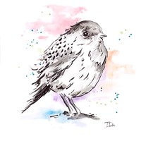 Bird Sketch III Fine Art Print
