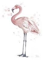 Flamingo Stand I Framed Print