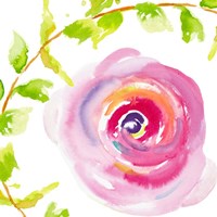 Delicate Rose I Fine Art Print