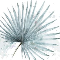 Palma Azul Square I Fine Art Print