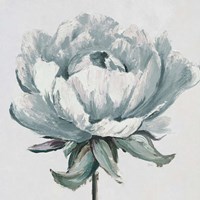 Gray Pretty Bloom Fine Art Print