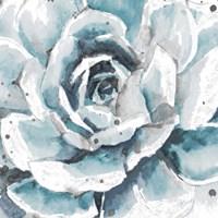 Muted Succulent Fine Art Print