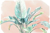 Jungle Gems on Blush II Fine Art Print