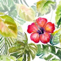 Hibiscus on Selva Fine Art Print