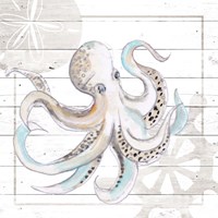 Explore Nautical V Framed Print