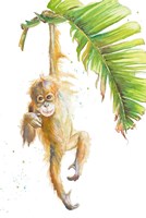 Monkeys in the Jungle I Fine Art Print
