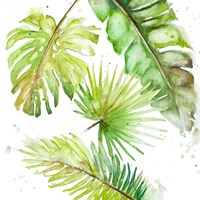 New Greens Fine Art Print